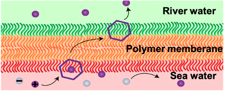 TOC graphic for publication 15