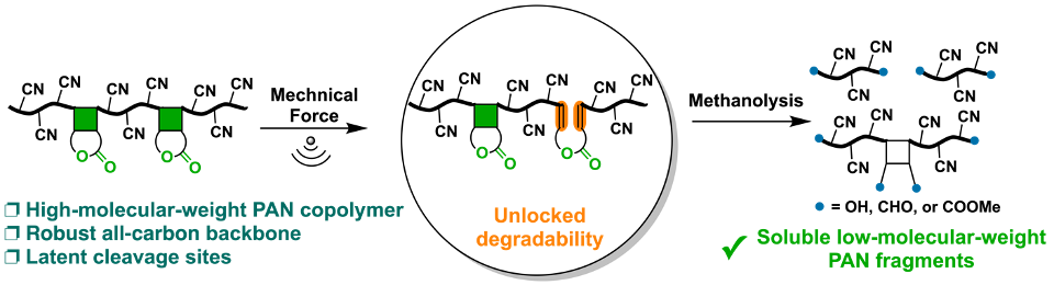 TOC graphic for publication 20